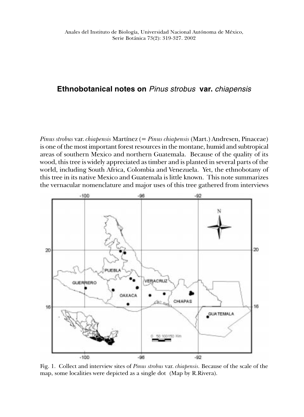 Ethnobotanical Notes on Pinus Strobus Var. Chiapensis