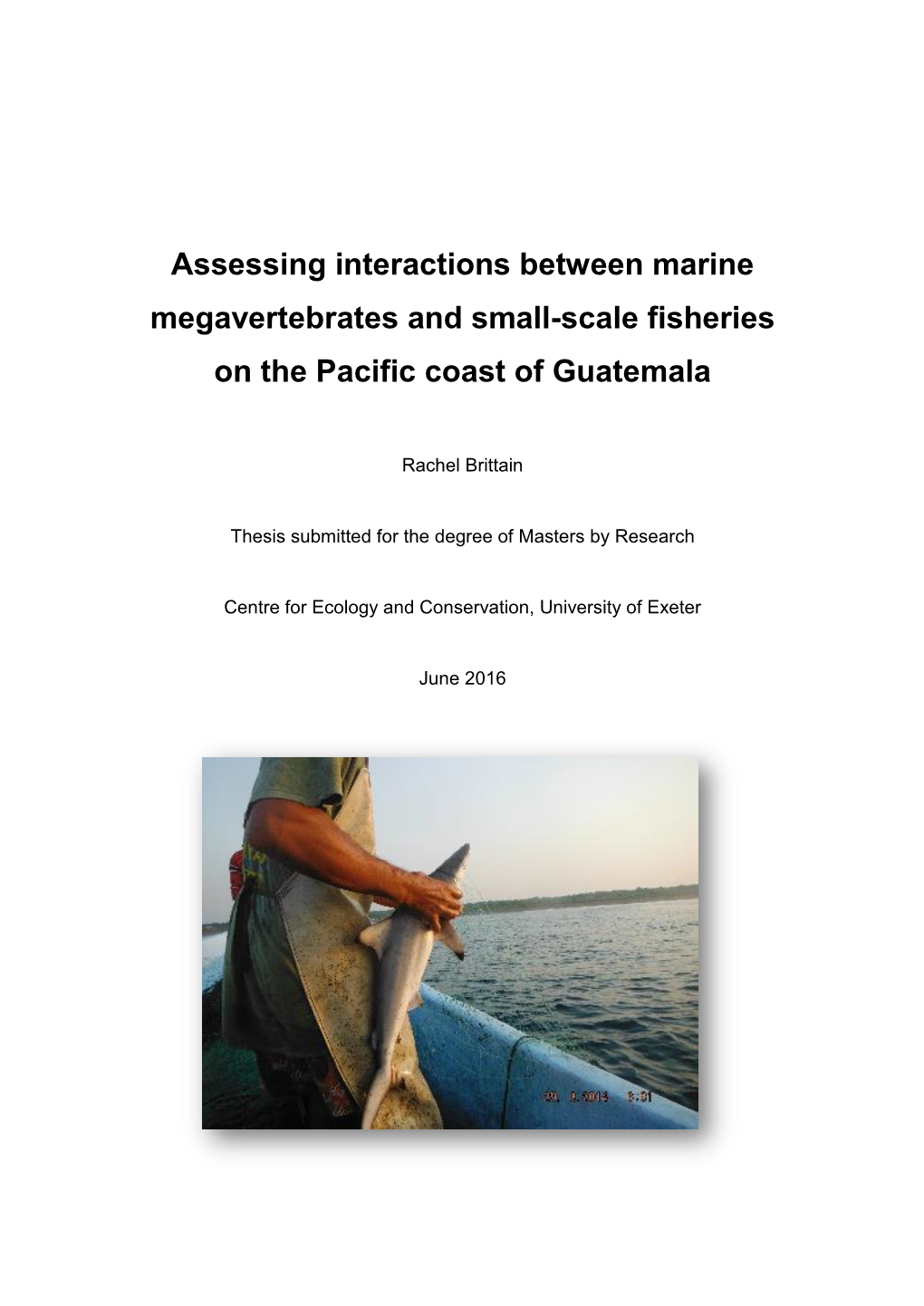 Assessing Interactions Between Marine Megavertebrates and Small-Scale Fisheries on the Pacific Coast of Guatemala