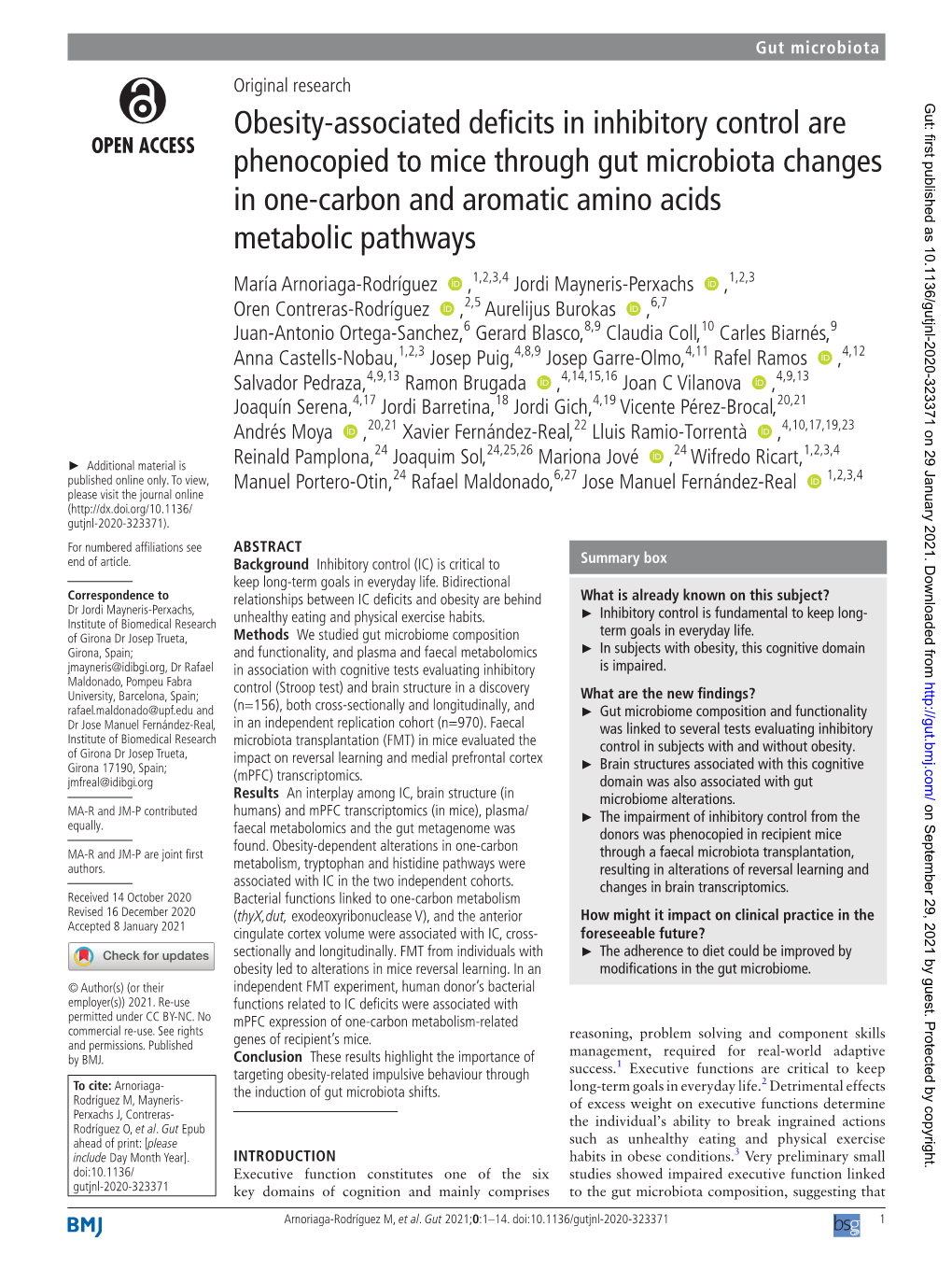 Obesity-Associated Deficits in Inhibitory Control Are Phenocopied