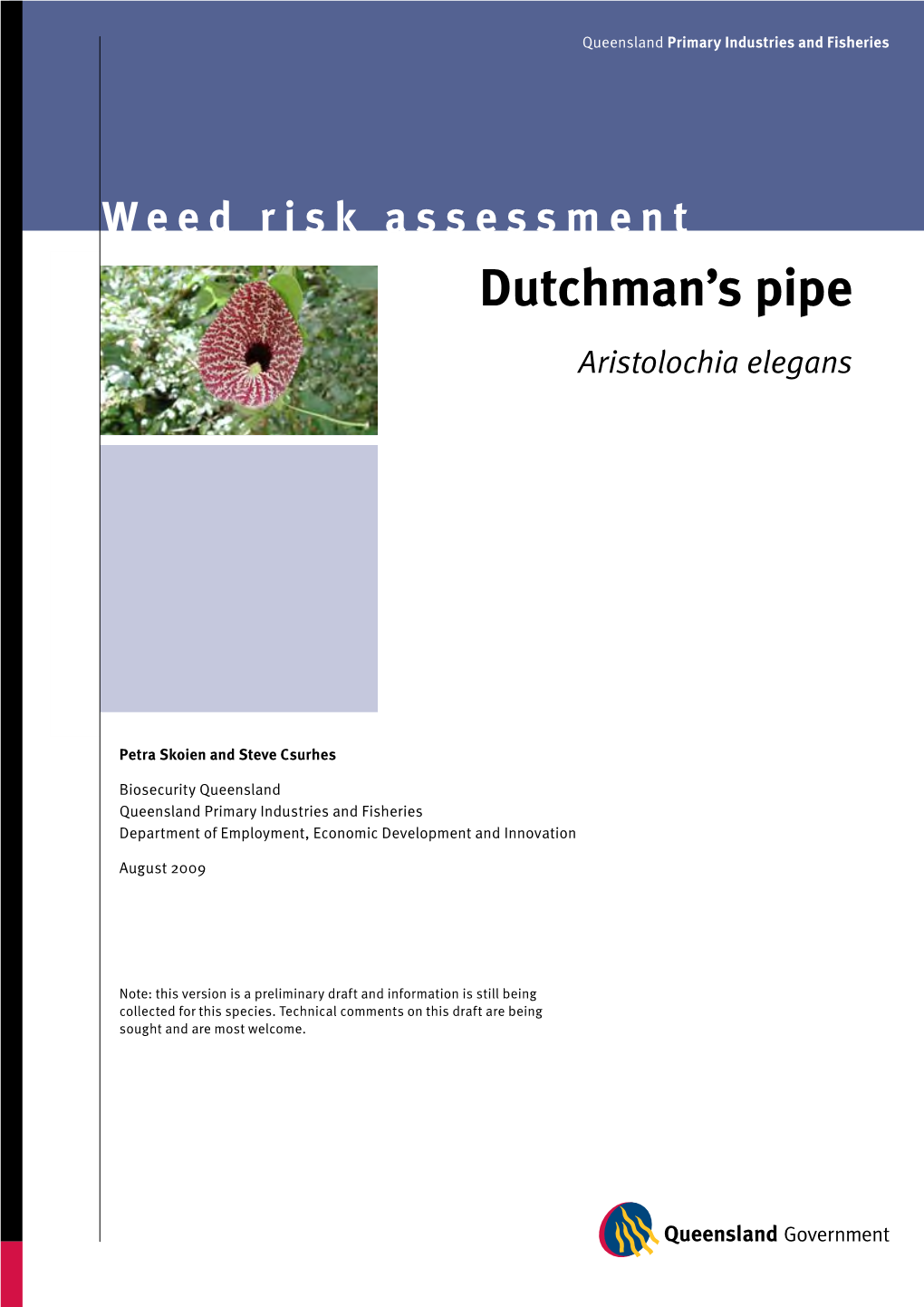 Dutchman's Pipe