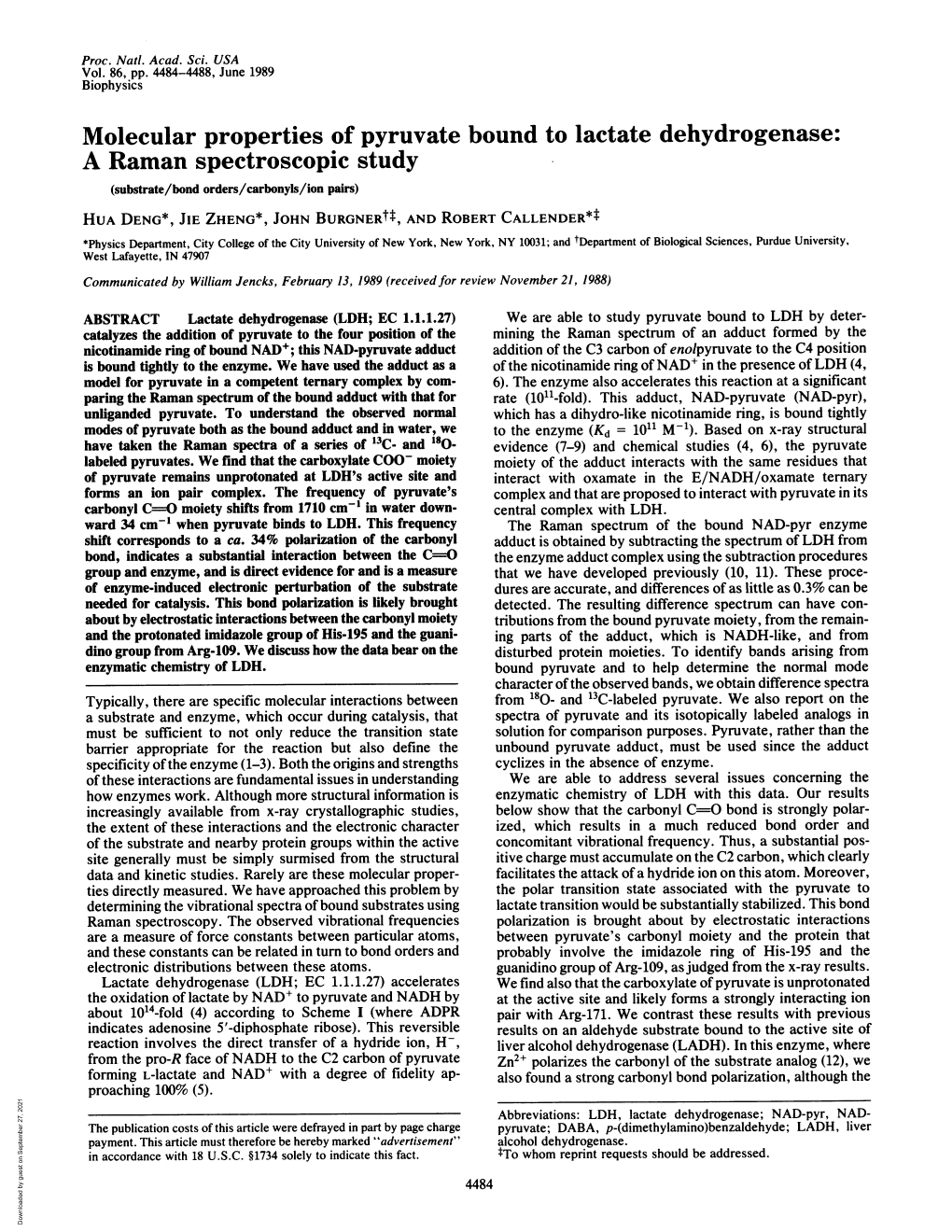 Molecular Properties of Pyruvate Bound to Lactate