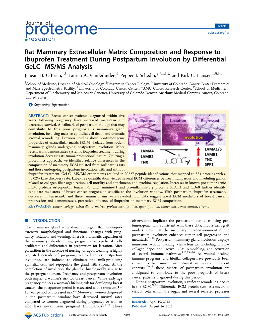 Rat Mammary Extracellular Matrix Composition and Response to Ibuprofen Treatment During Postpartum Involution by Differential Ge