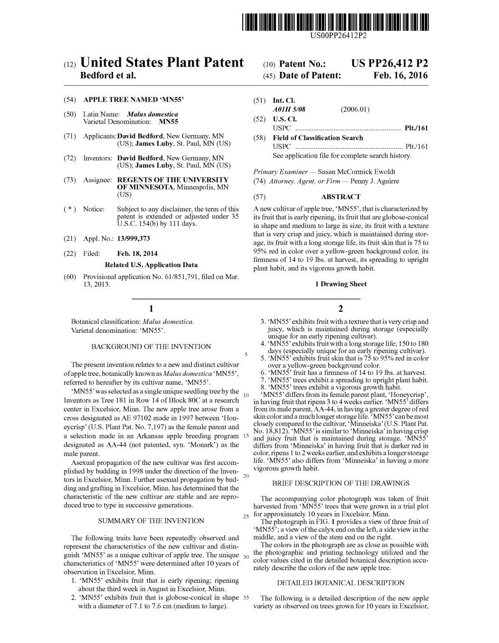 (12) United States Plant Patent (10) Patent No.: US PP26.412 P2 Bedford Et Al