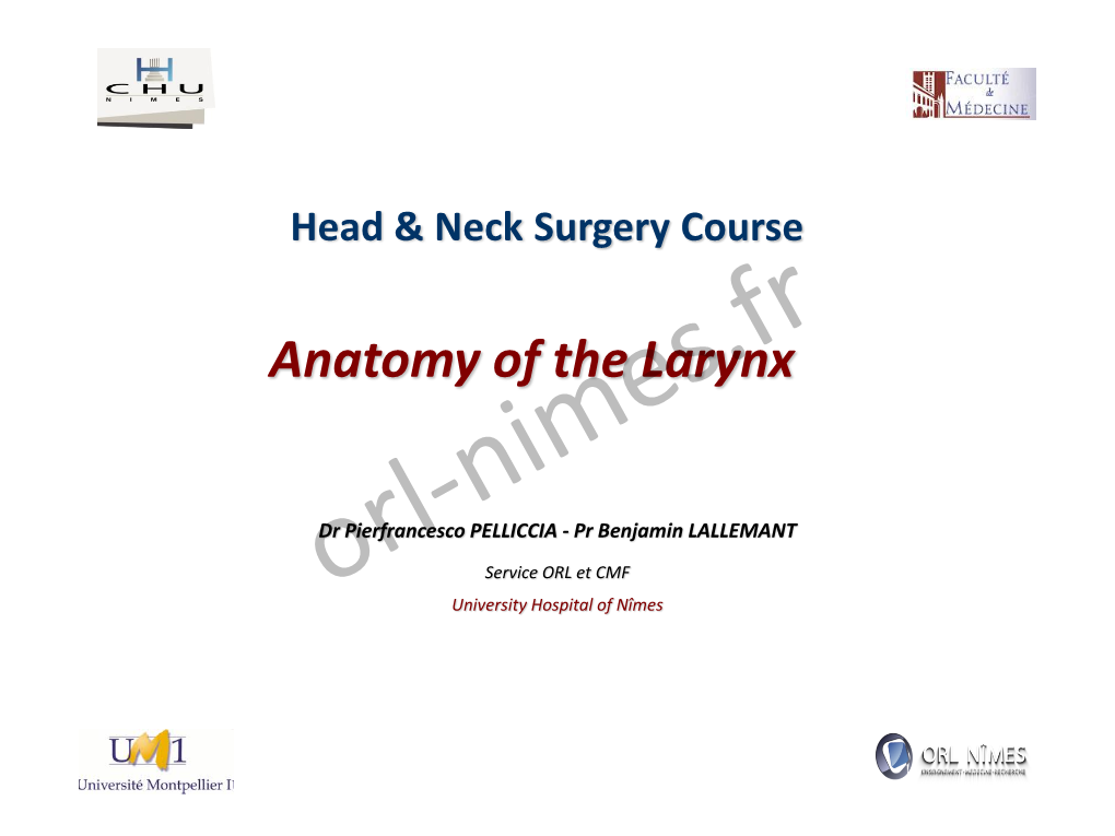 Anatomy of the Larynx