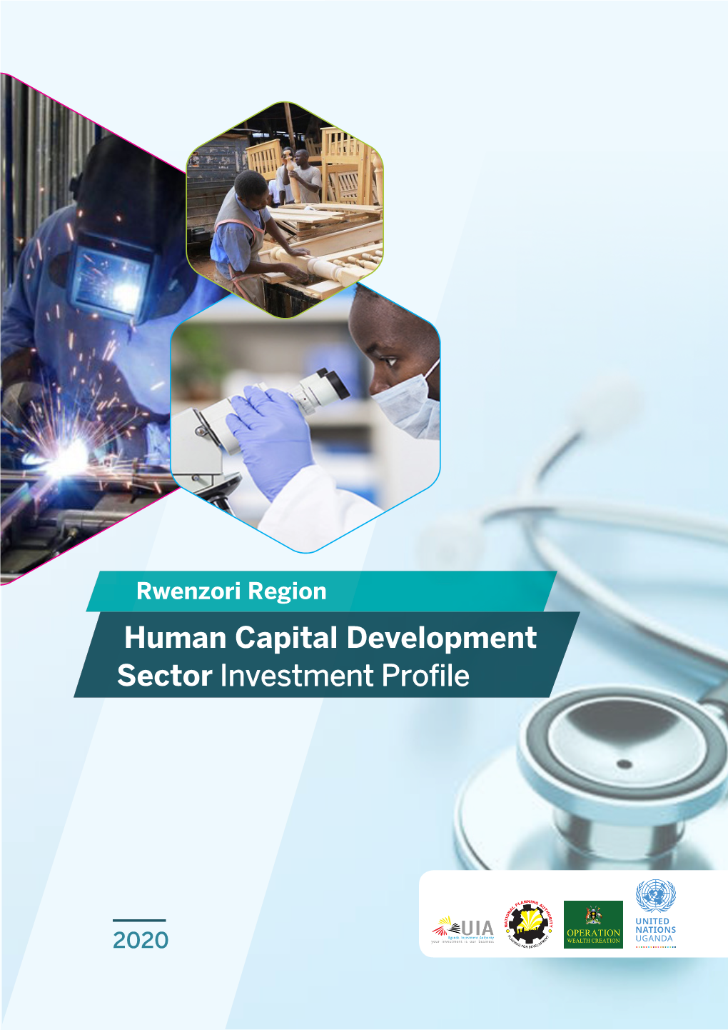 Rwenzori Region Human Capital Development Sector Investment Profile