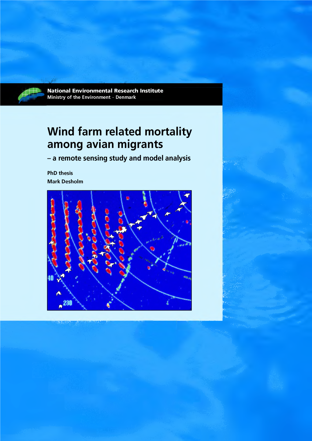 Wind Farm Related Mortality Among Avian Migrants - a Remote Sensing Study and Model Analysis