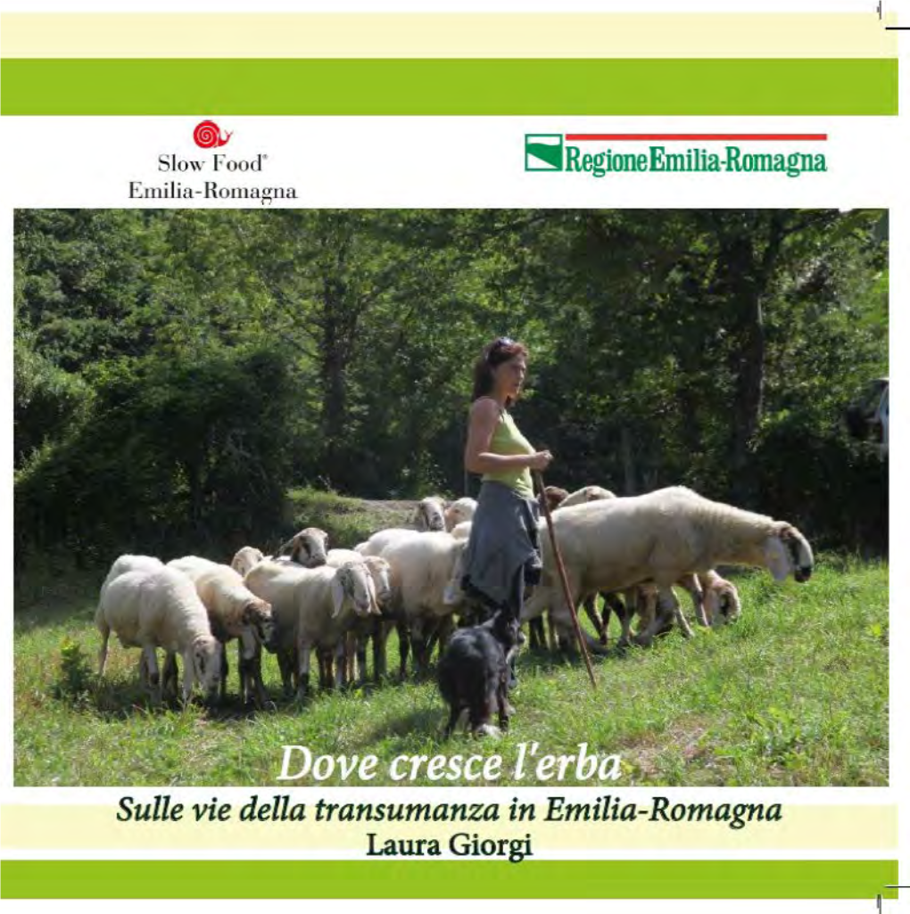 Dove Cresce L'erba Sulle Vie Della Transumanza in Emilia-Romagna