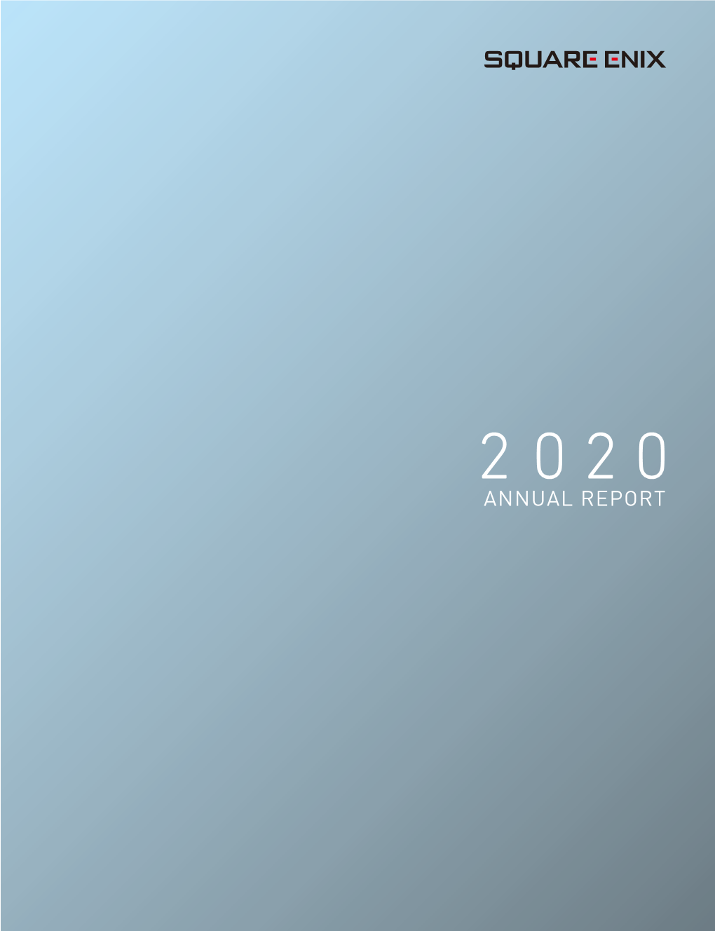 2020 Annual Report