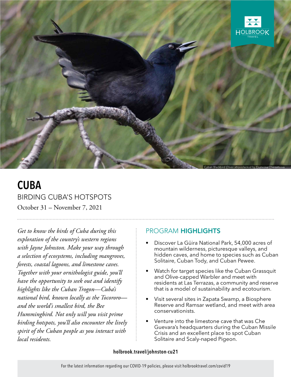 Birding Cuba's Hotspots