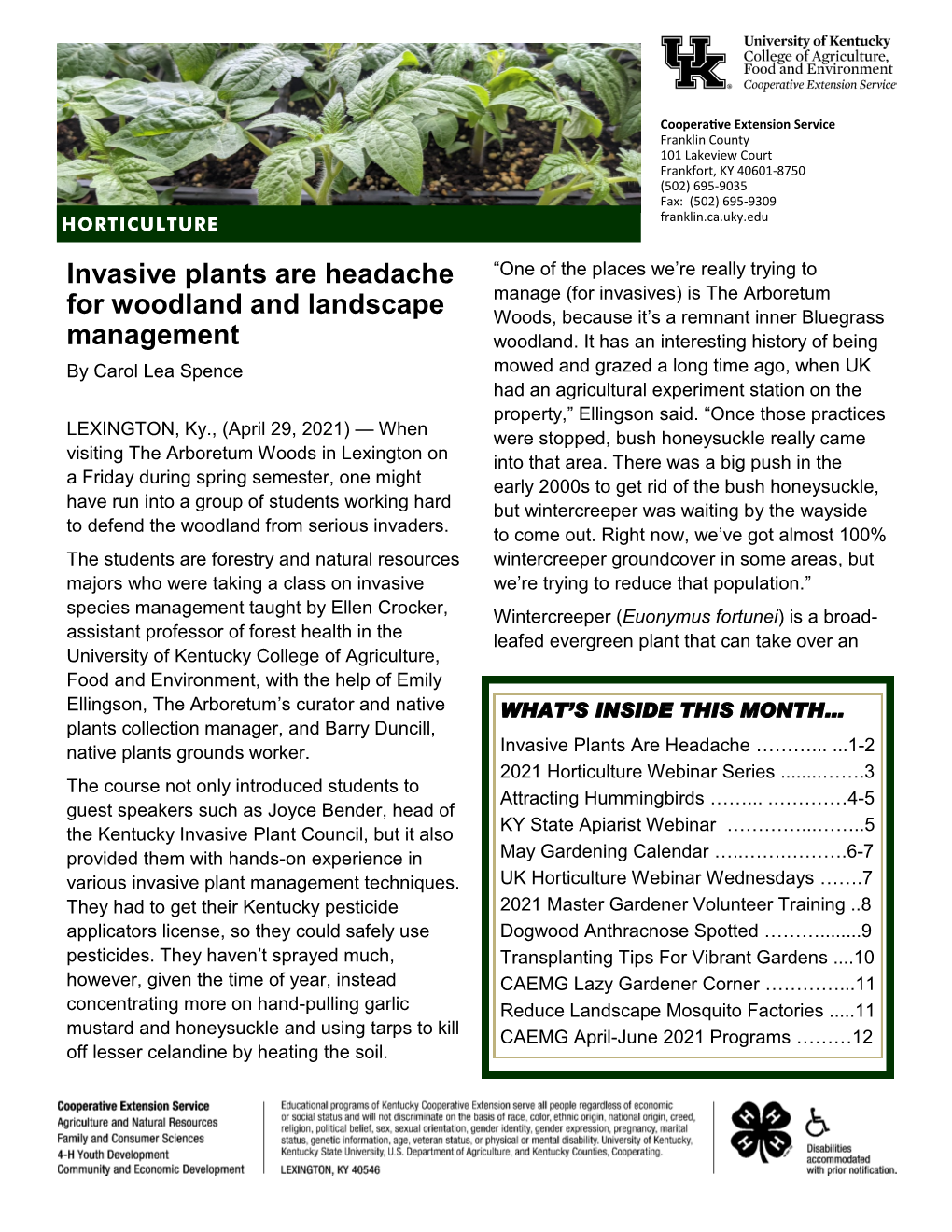 Invasive Plants Are Headache for Woodland And