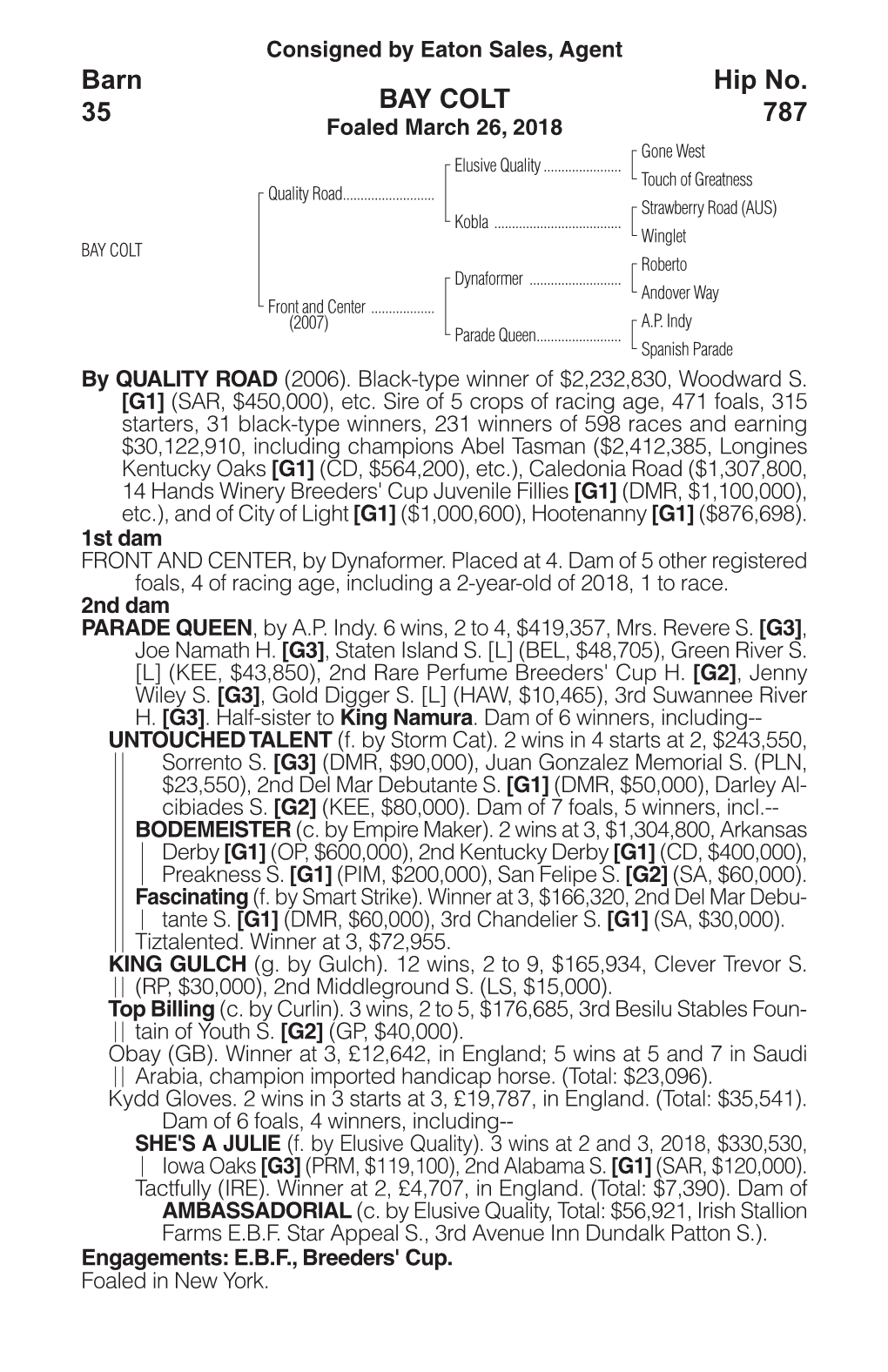 BAY COLT Barn 35 Hip No