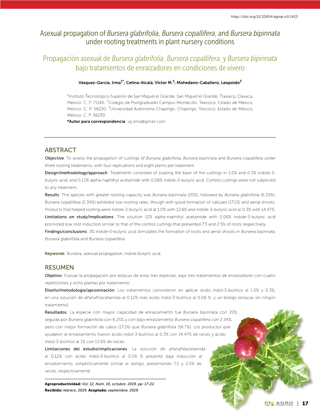 Bursera Copallifera, and Bursera Bipinnata Under Rooting Treatments in Plant Nursery Conditions