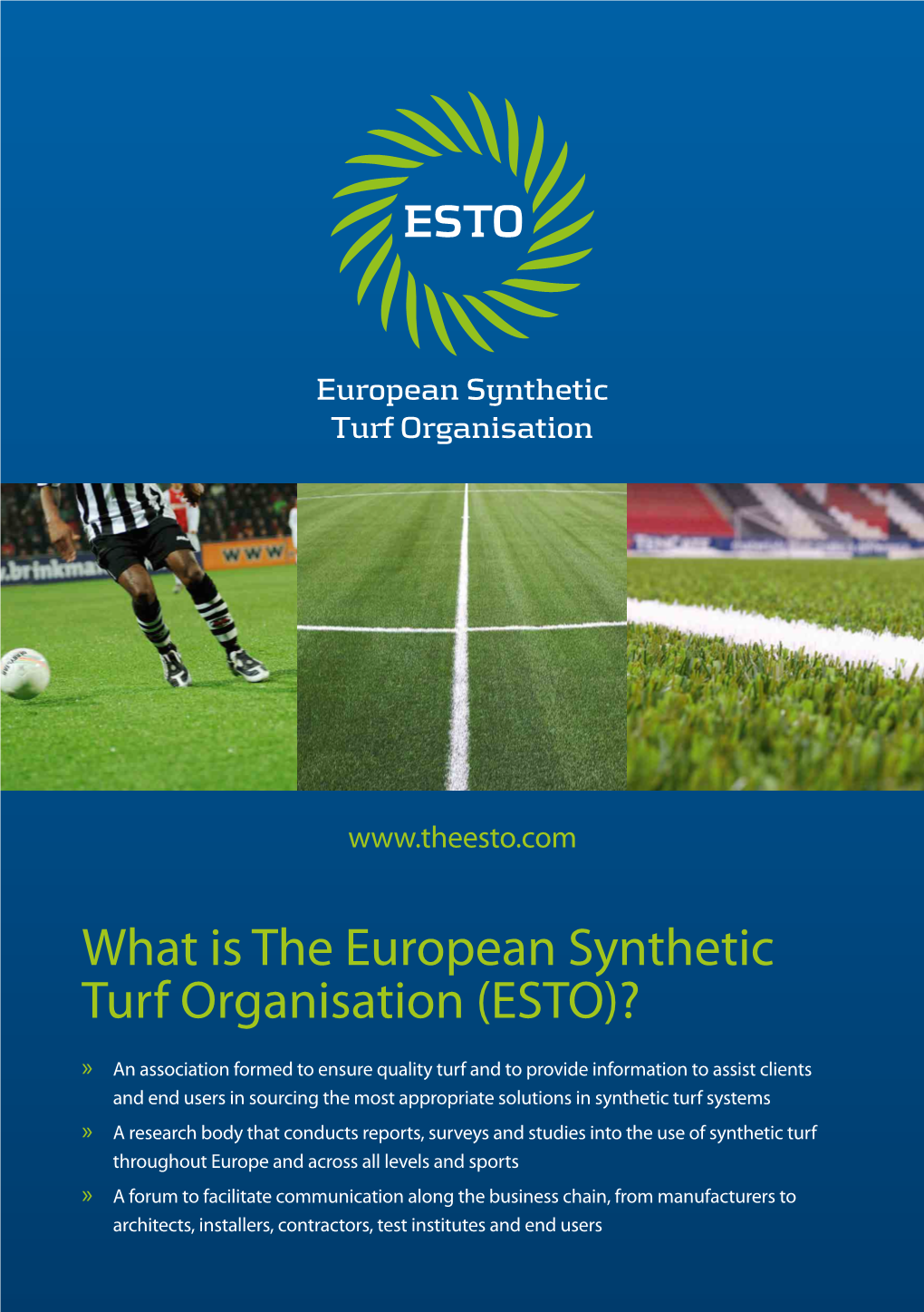 What Is the European Synthetic Turf Organisation (ESTO)?