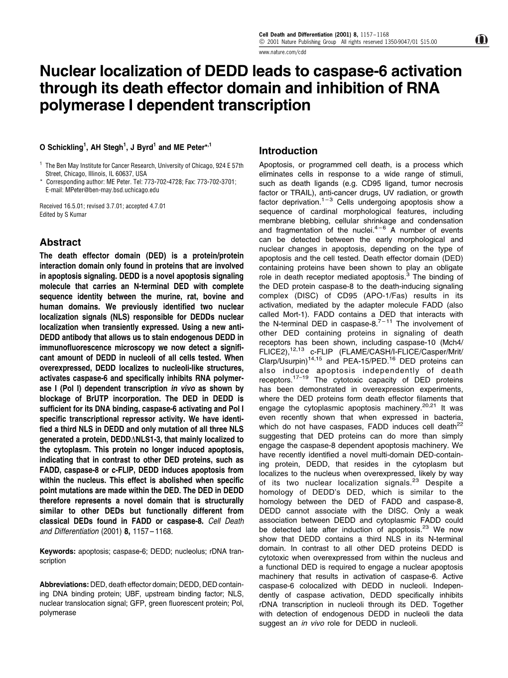 Nuclear Localization of DEDD Leads to Caspase-6 Activation Through Its Death Effector Domain and Inhibition of RNA Polymerase I Dependent Transcription