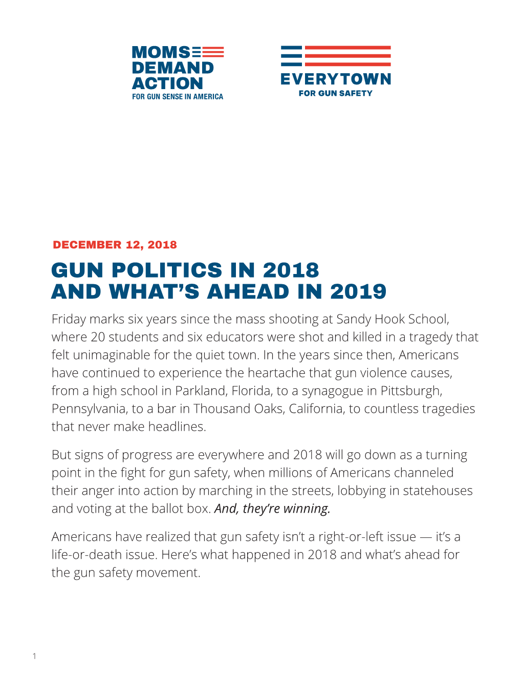 Gun Politics in 2018 and What's Ahead in 2019