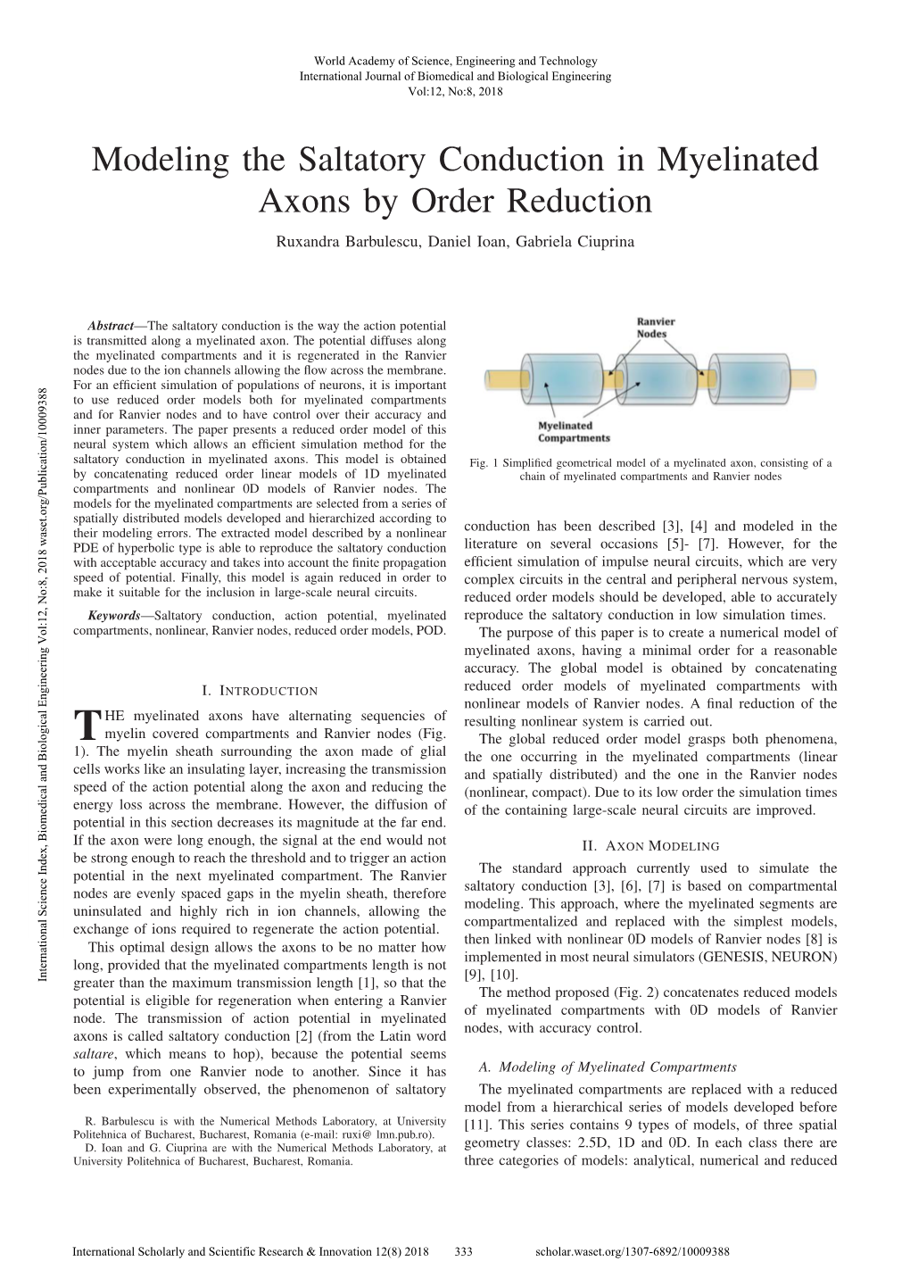 Modeling the Saltatory Conduction in Myelinated Axons by Order Reduction Ruxandra Barbulescu, Daniel Ioan, Gabriela Ciuprina