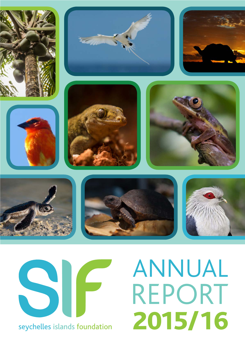 SIF Annual Report 2015/16
