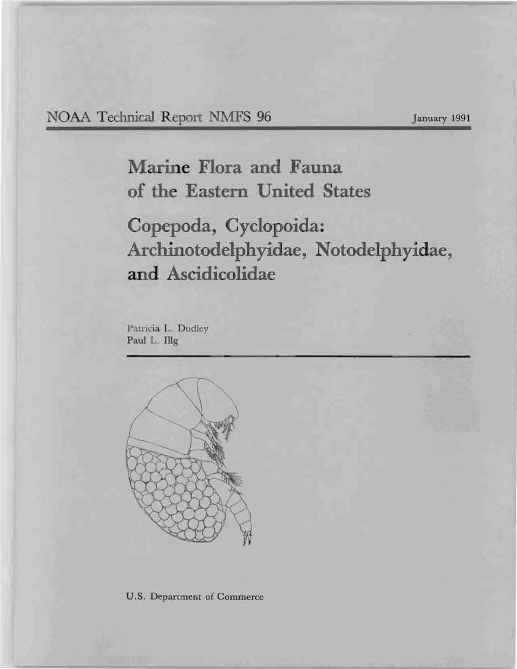 Marine Flora and Fauna of the Eastern United States Copepoda, Cyclopoida: Archinotodelphyidae, Notodelphyidae, and Ascidicolidae