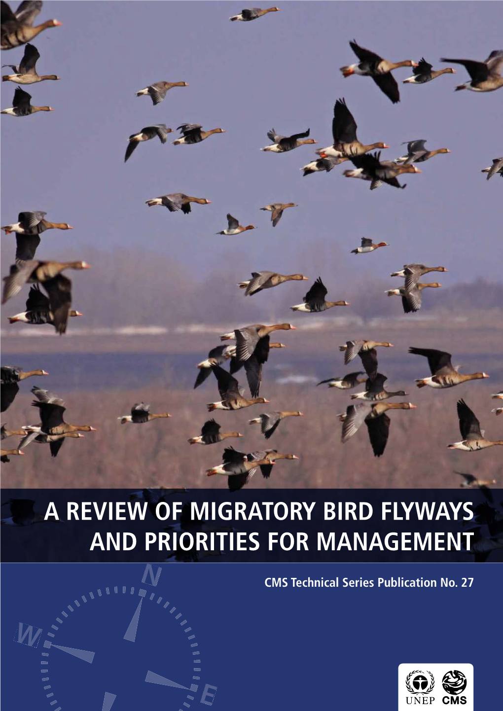 A Review of Migratory Bird Flyways and Priorities for Management