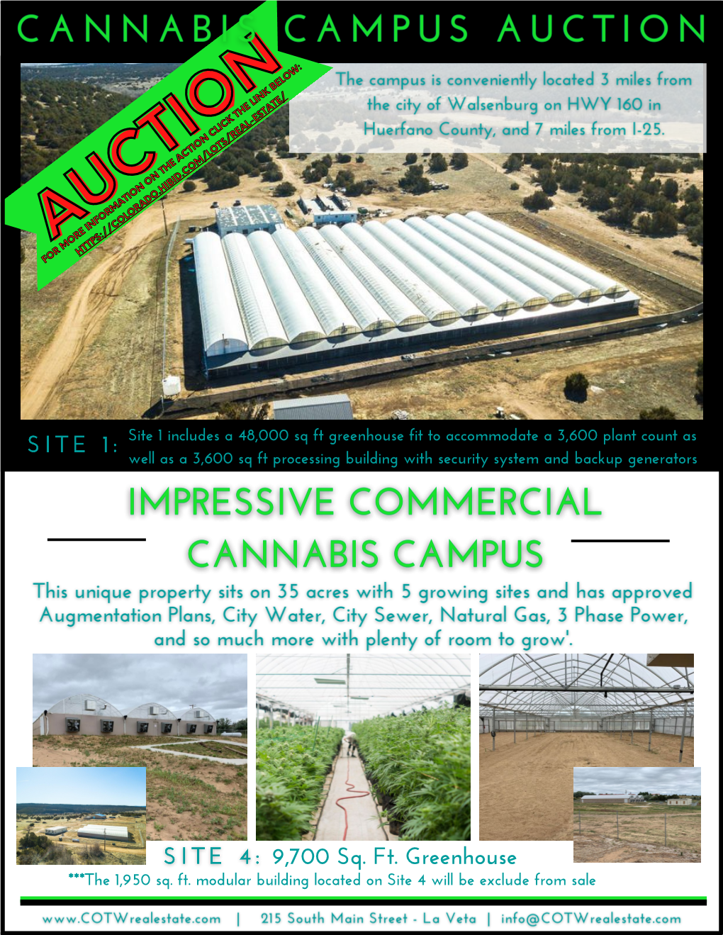 Cannabis-Auction-Brochure-.Pdf