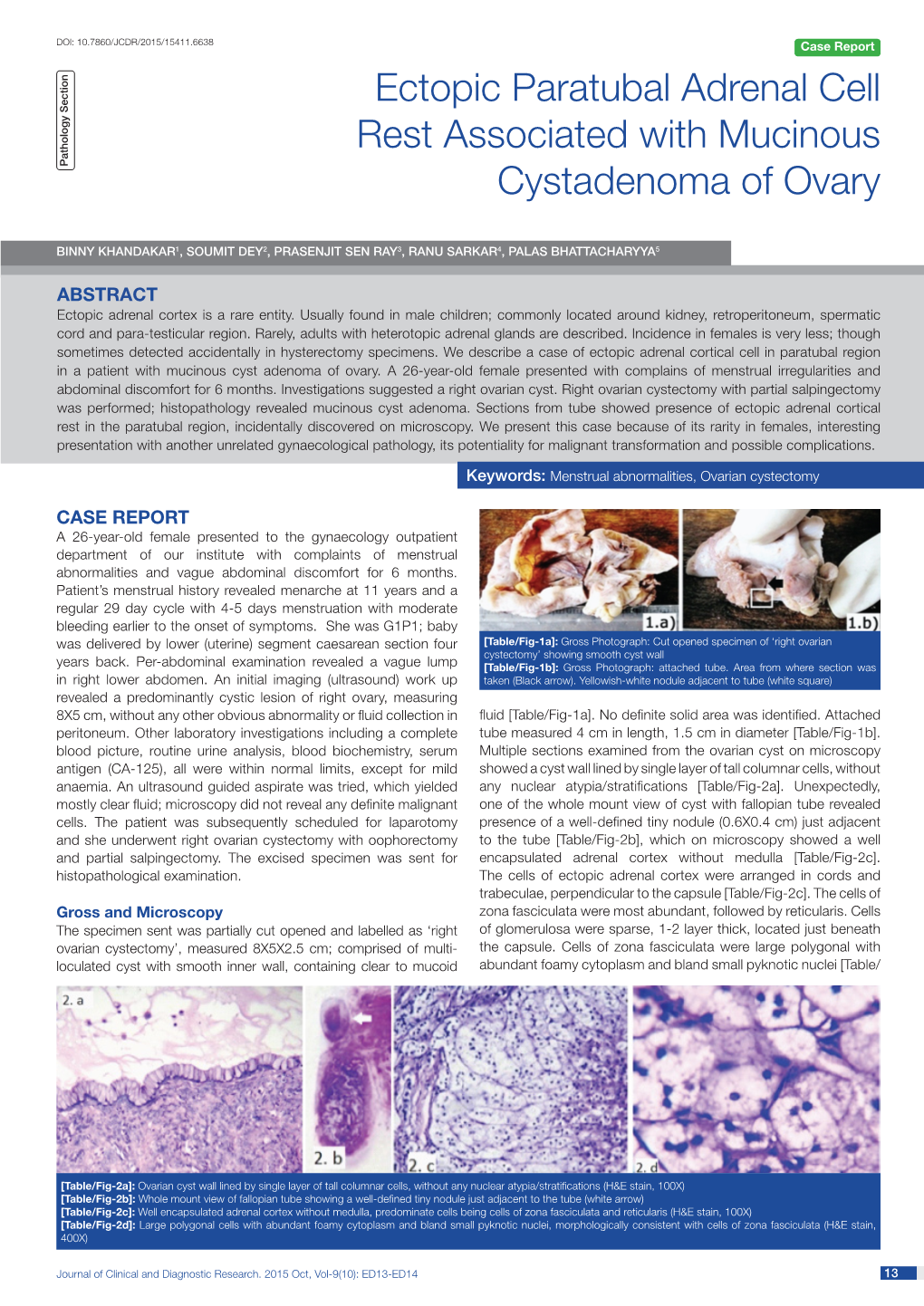 Ectopic Paratubal Adrenal Cell Rest Associated with Mucinous Cystadenoma of Ovary