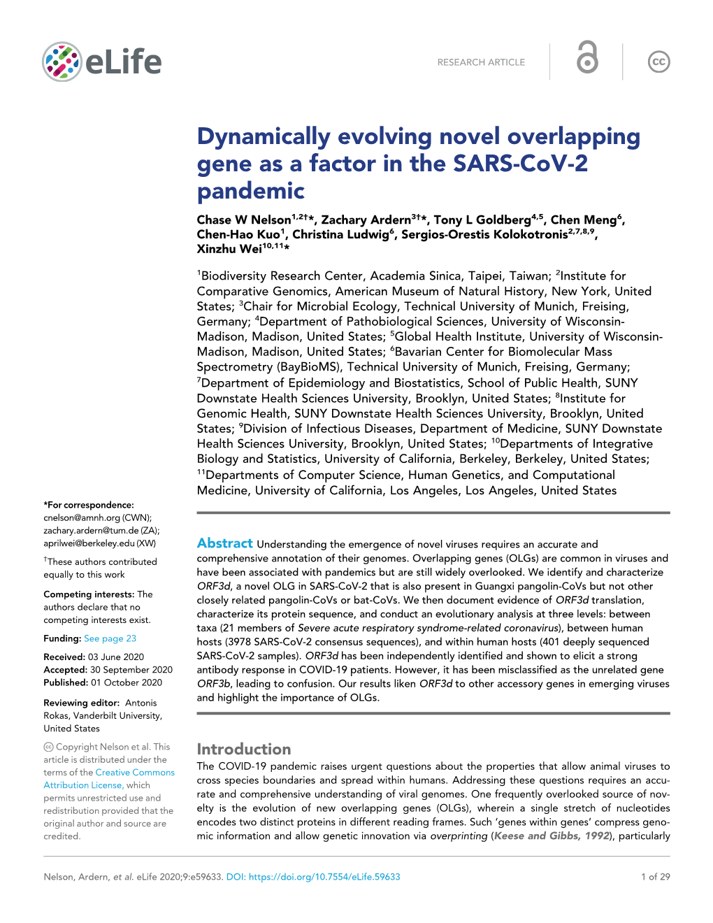 Dynamically Evolving Novel Overlapping Gene