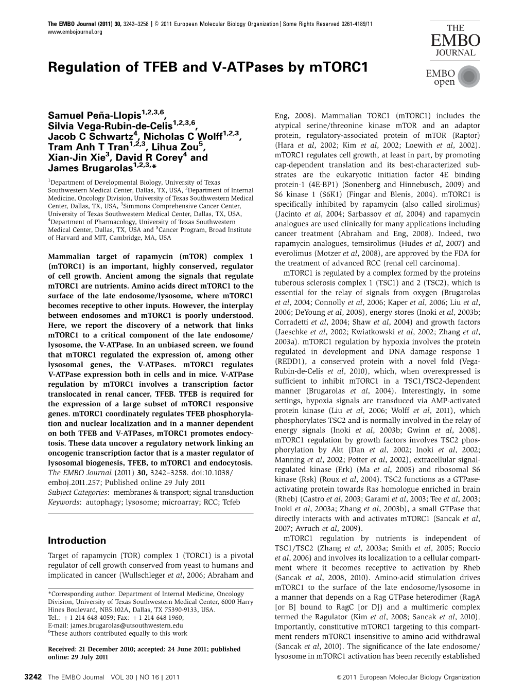 Regulation of TFEB and V-Atpases by Mtorc1 EMBO Open