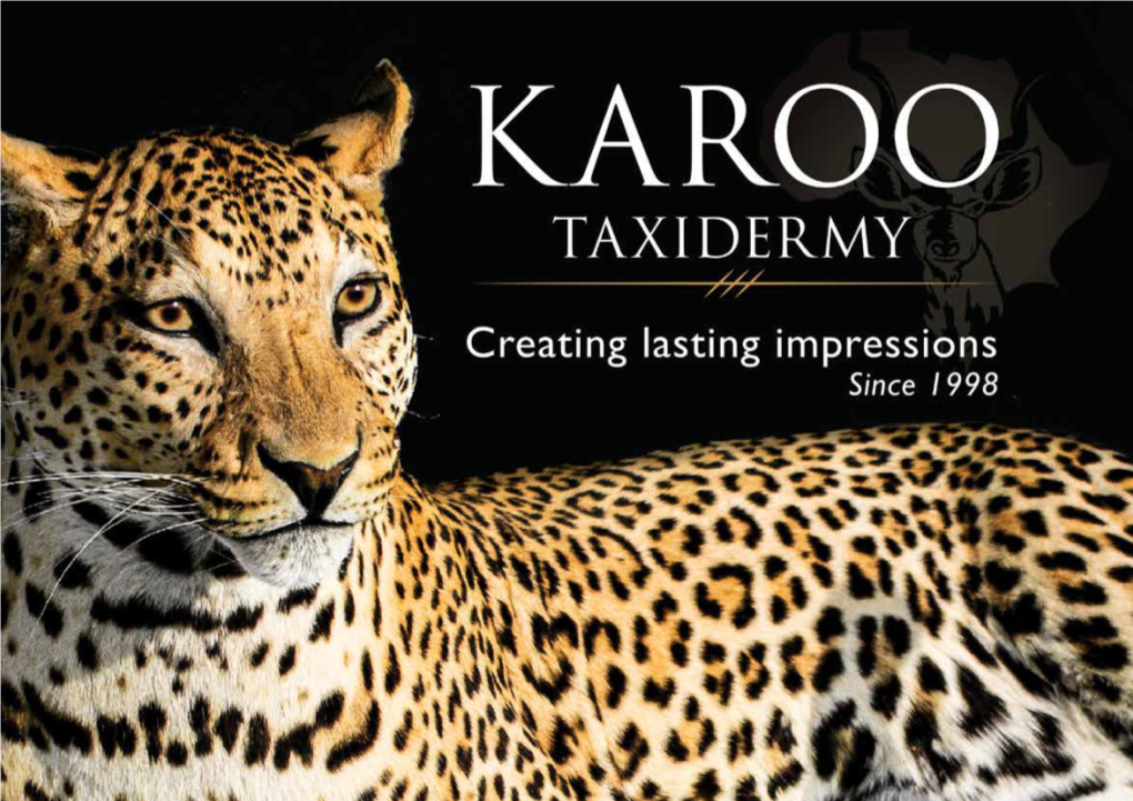 Full Service Taxidermist Karoo Taxidermy Is an Advanced South African Taxidermy Company That Specialises in Delivering High Quality Trophies at Realistic Prices