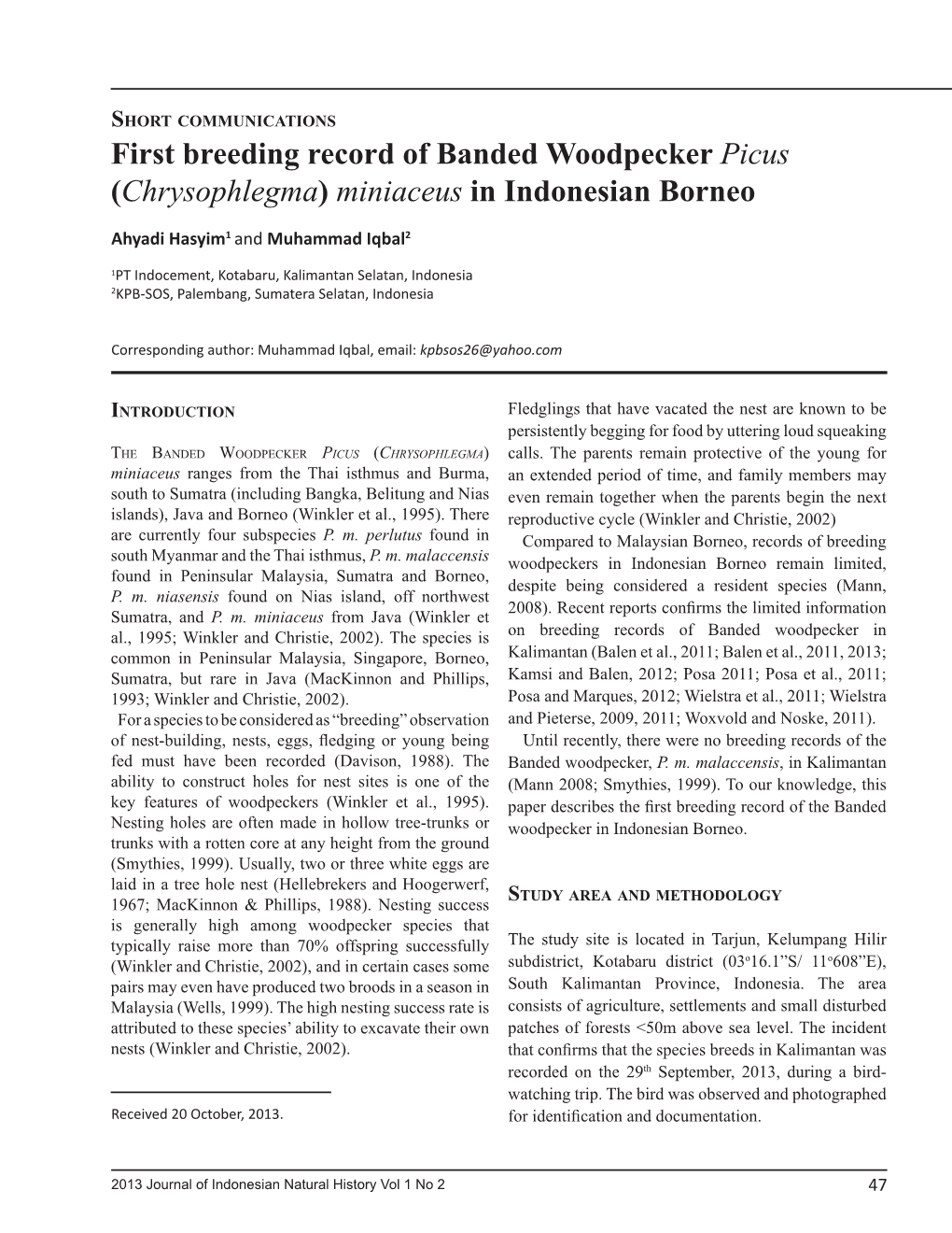 First Breeding Record of Banded Woodpecker Picus (Chrysophlegma) Miniaceus in Indonesian Borneo