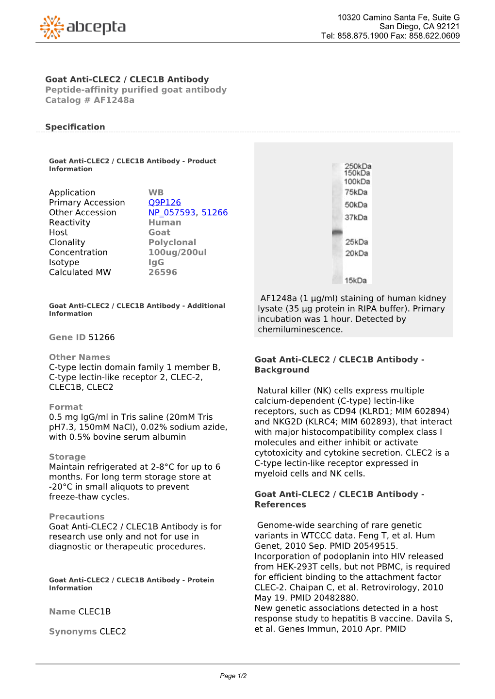 Goat Anti-CLEC2 / CLEC1B Antibody Peptide-Affinity Purified Goat Antibody Catalog # Af1248a