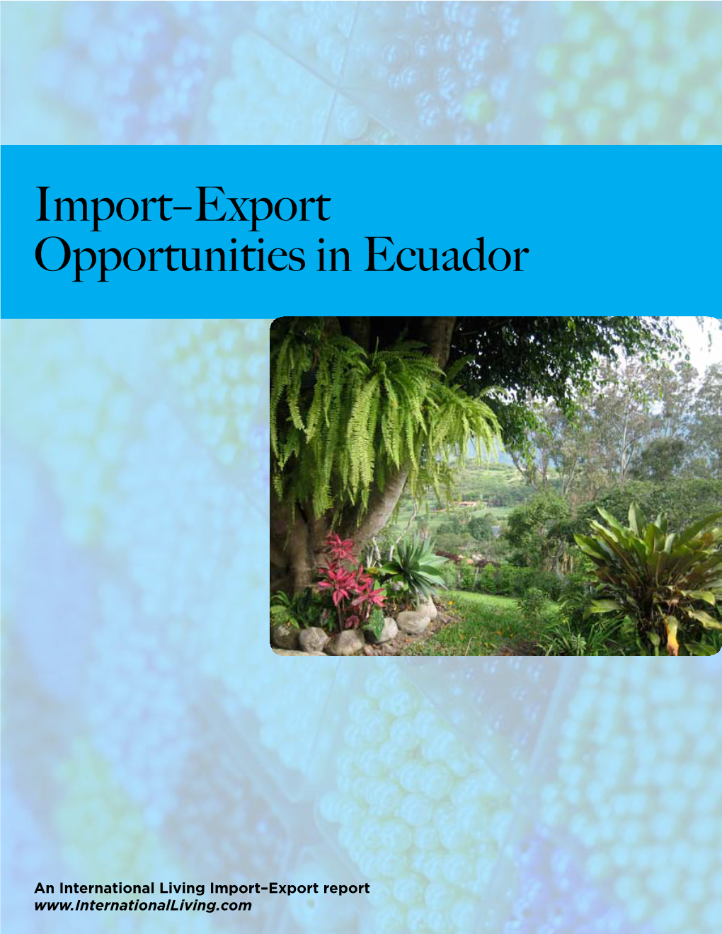 Import–Export Opportunities in Ecuador