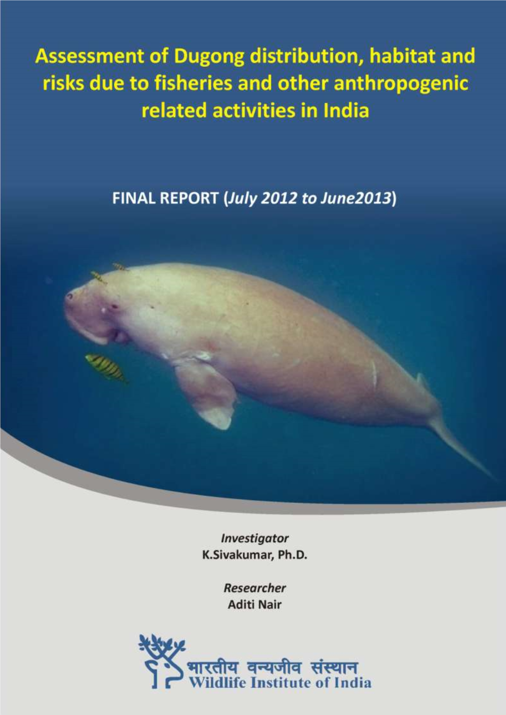 Dugong Distribution, Habitat and Risks Due to Fisheries and Other Anthropogenic Activities in India