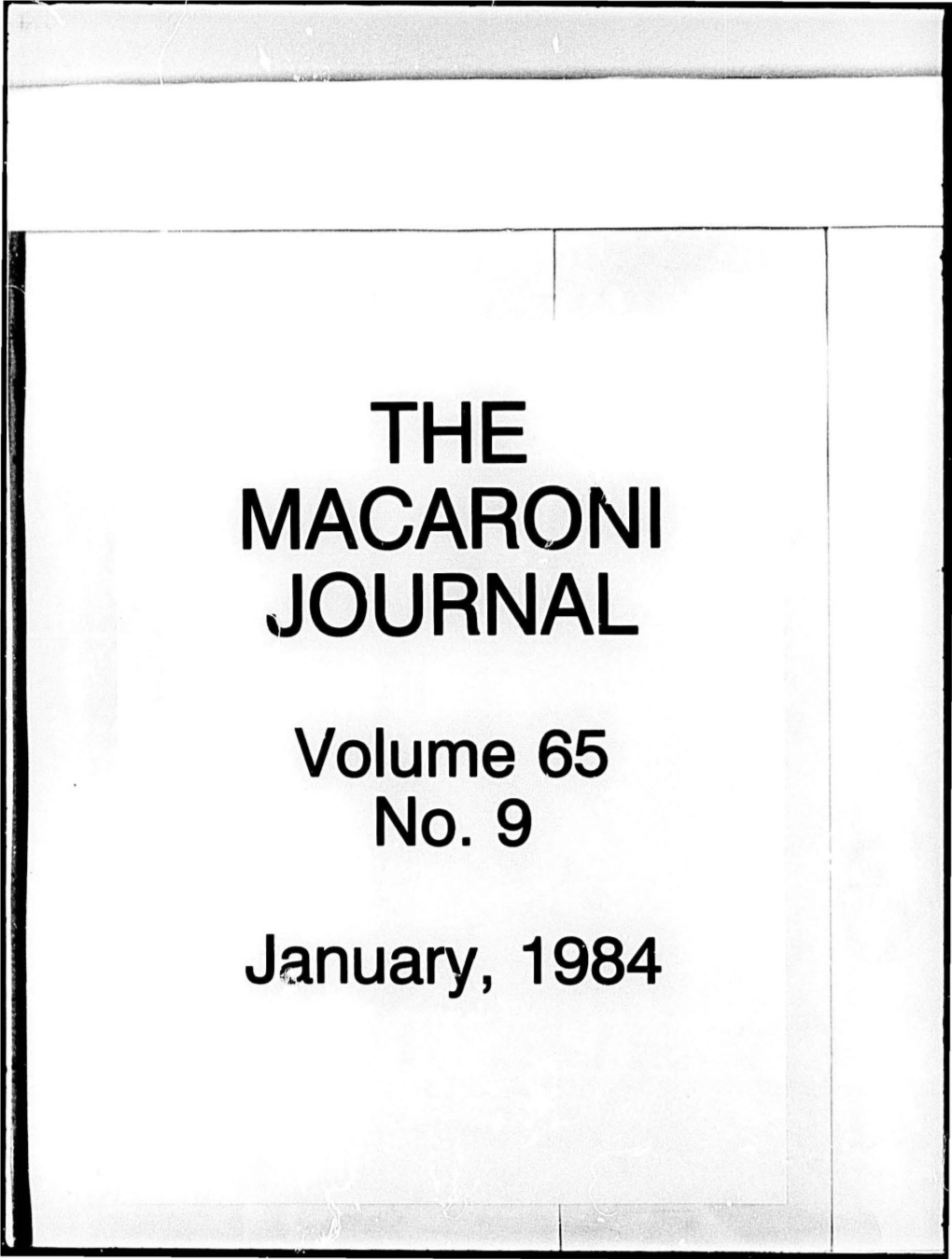 Macaroni ,Journal