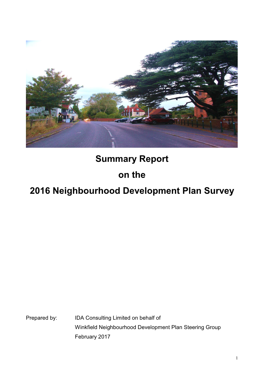 Summary Report on the 2016 Neighbourhood Development Plan Survey