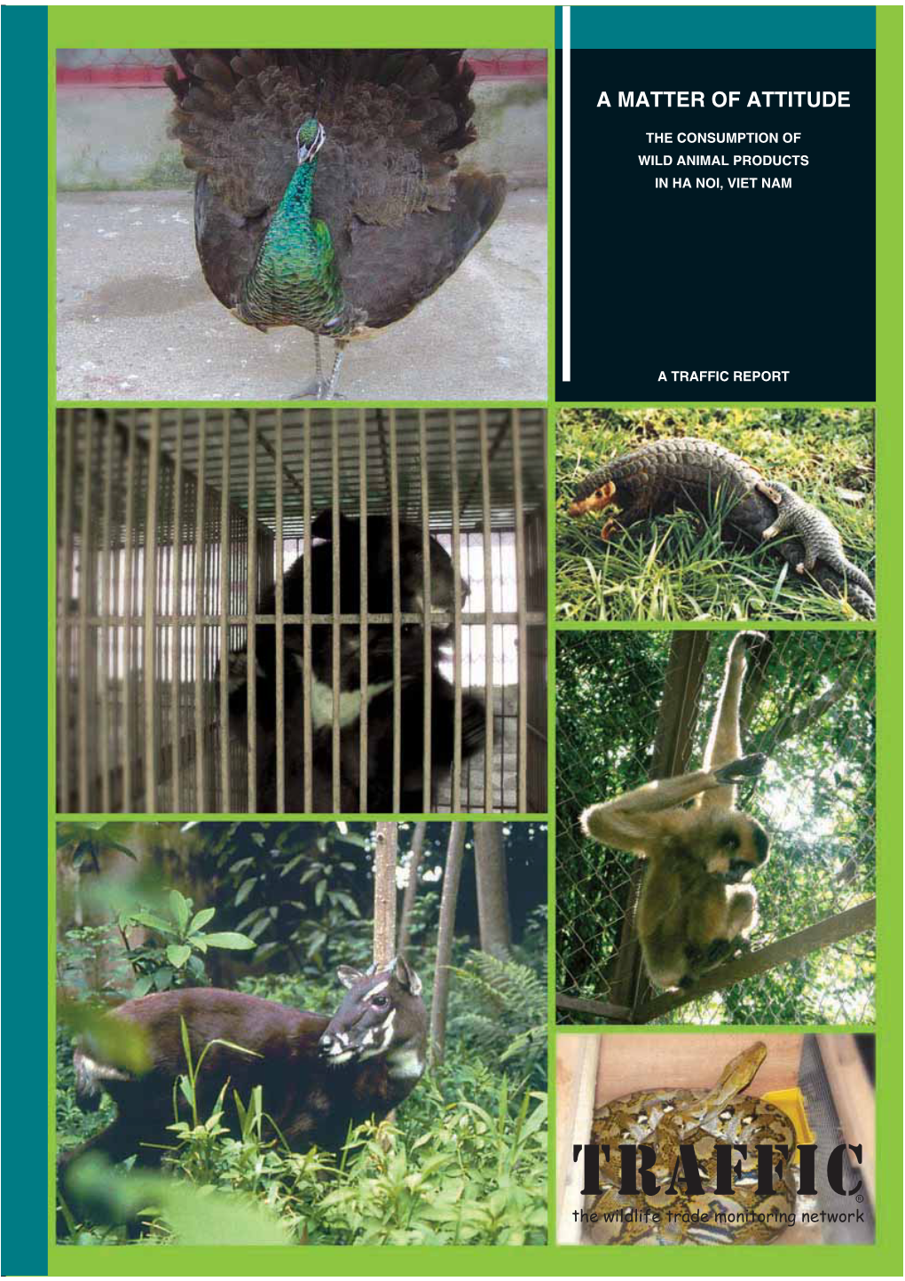 A Matter of Attitude: the Consumption of Wild Animal Products in Ha Noi, Viet Nam