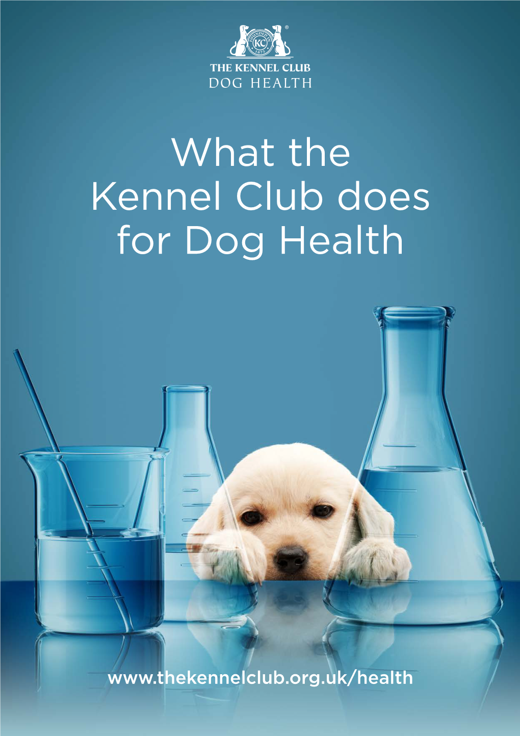 What the Kennel Club Does for Dog Health