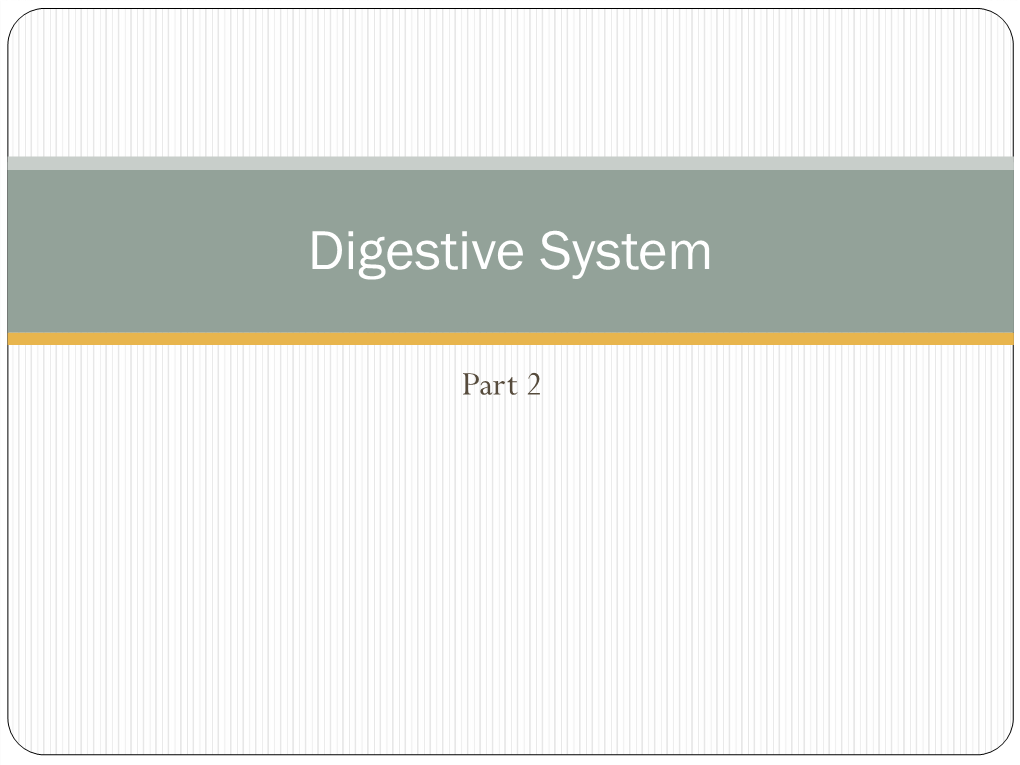 Digestive System Part