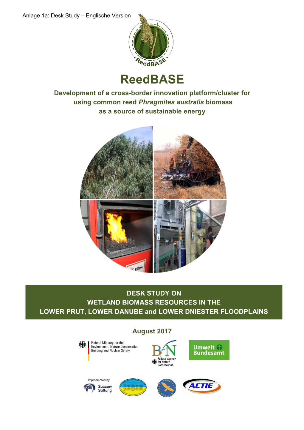 Reedbase Study – Desk Englische Study: Wetland Version Biomass in the Lower Prut, Lower Danube and Lower Dniester Floodplains