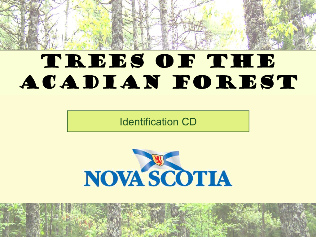 TREES of the ACADIAN FOREST