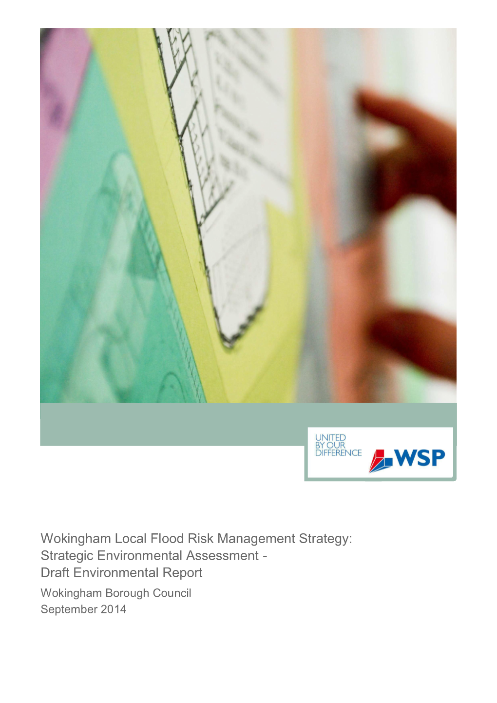 Strategic Environmental Assessment - Draft Environmental Report Wokingham Borough Council September 2014