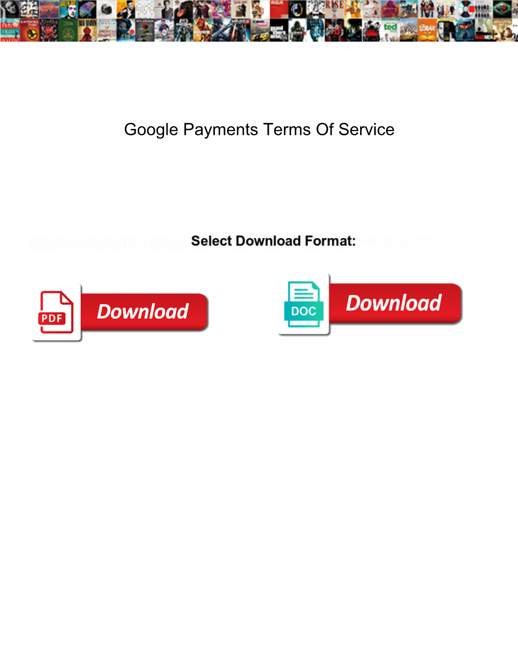 Google Payments Terms of Service