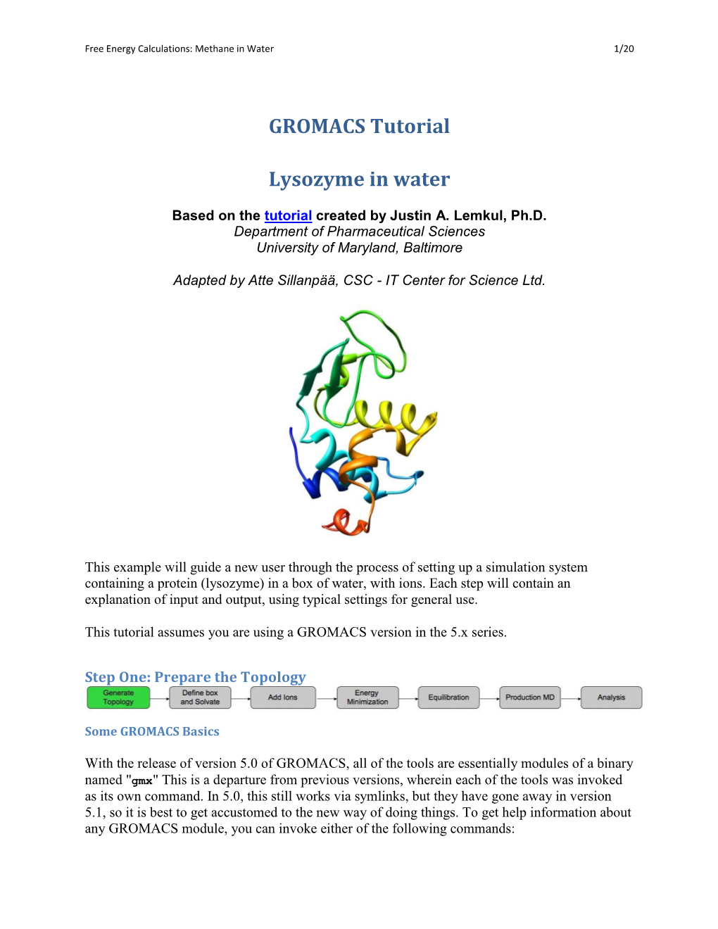 GROMACS Tutorial Lysozyme in Water