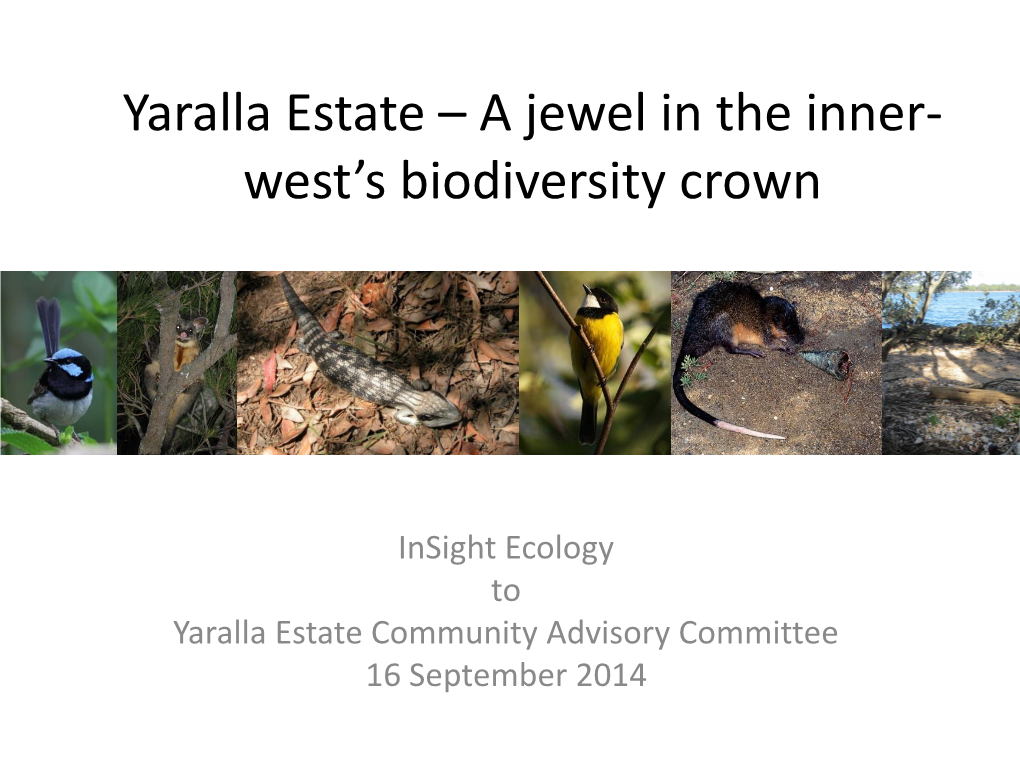 Yaralla Estate – a Jewel in the Inner- West’S Biodiversity Crown