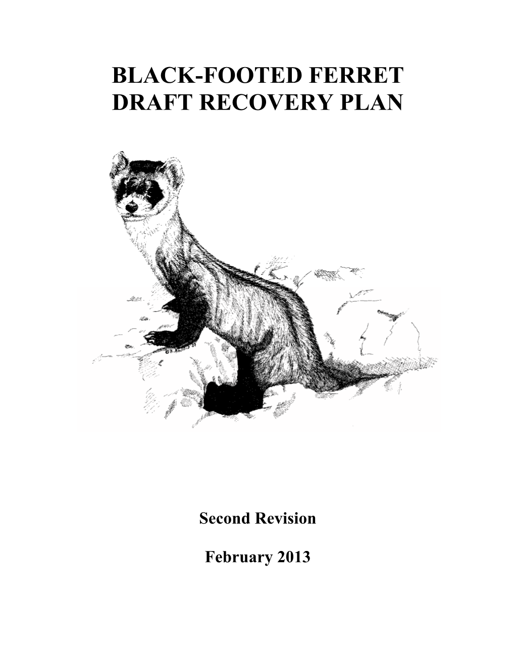 Black-Footed Ferret Draft Recovery Plan