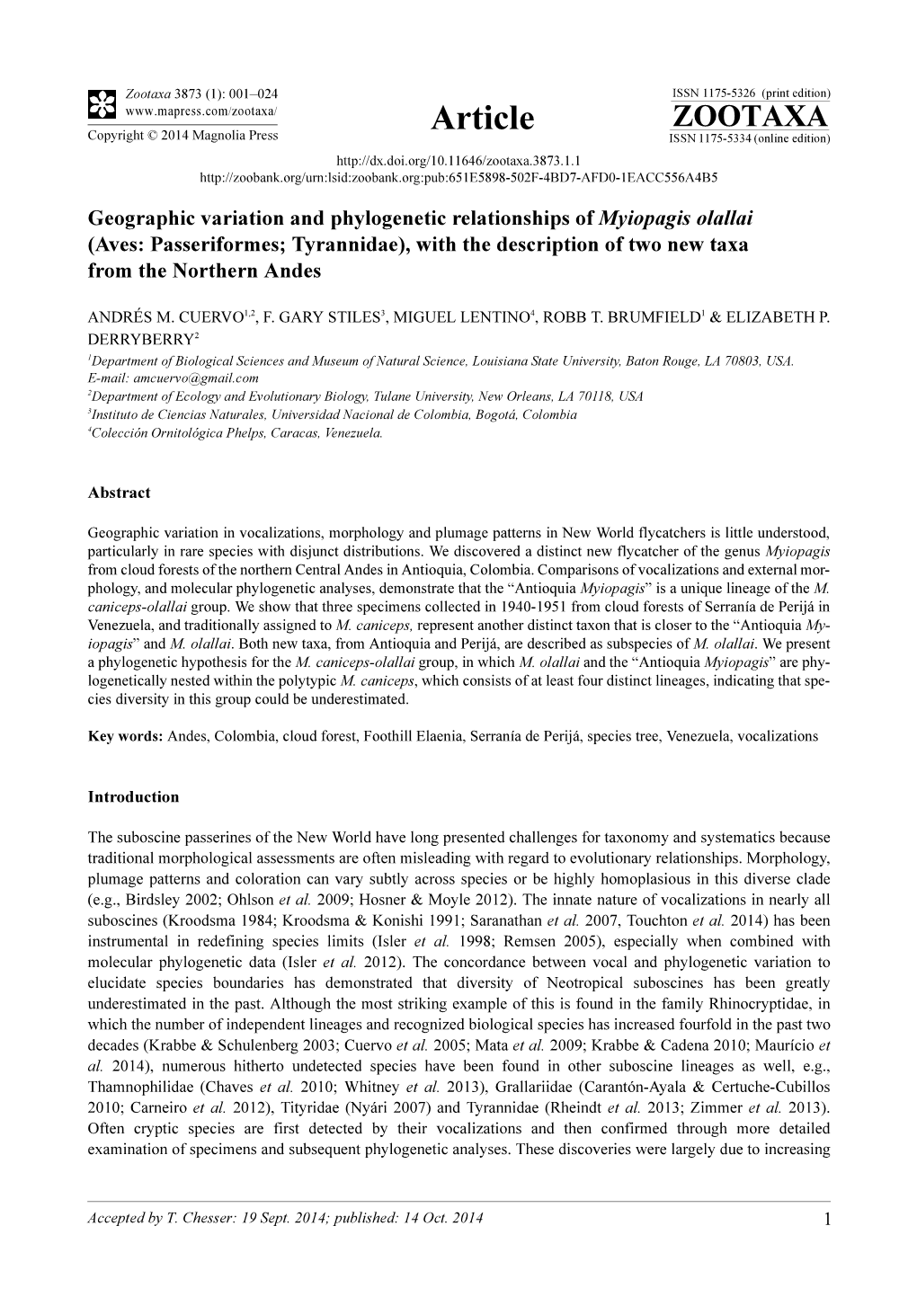 Geographic Variation and Phylogenetic Relationships of Myiopagis Olallai