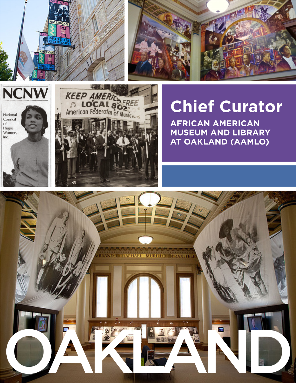 Chief Curator AFRICAN AMERICAN MUSEUM and LIBRARY at OAKLAND (AAMLO)
