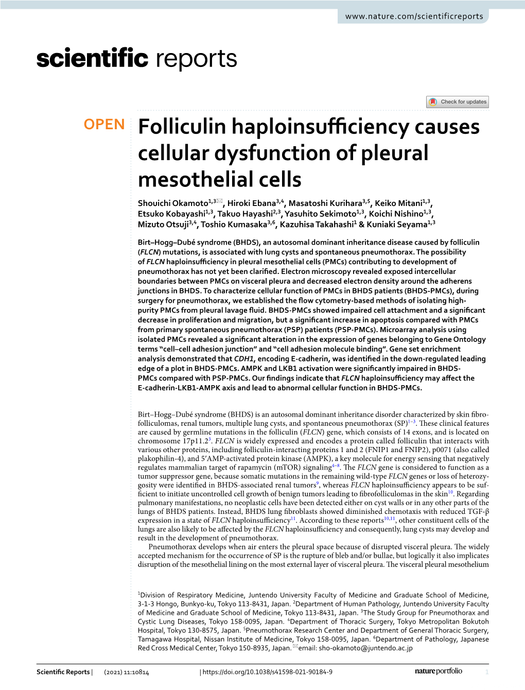 Folliculin Haploinsufficiency Causes Cellular Dysfunction of Pleural Mesothelial Cells