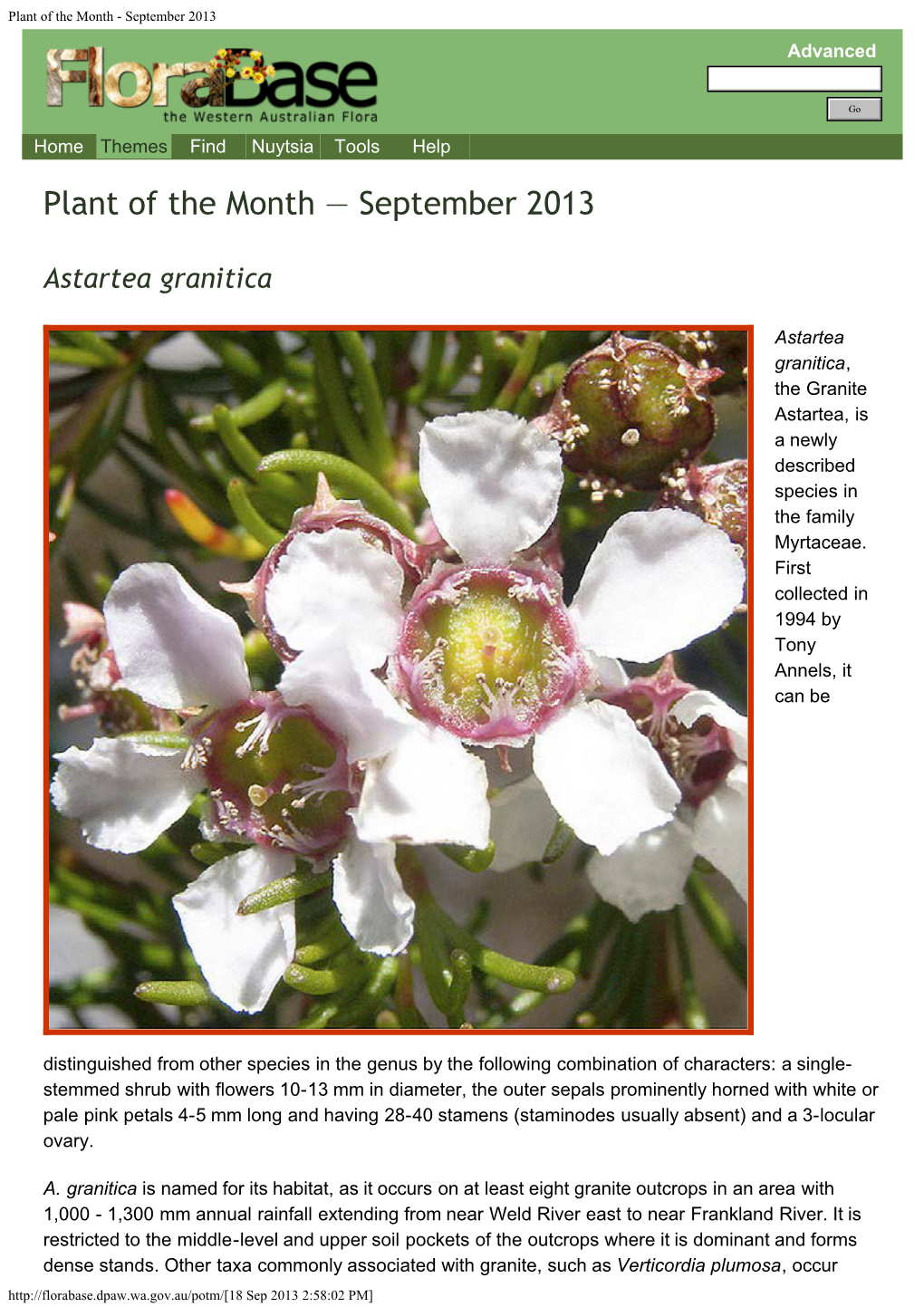 Plant of the Month - September 2013