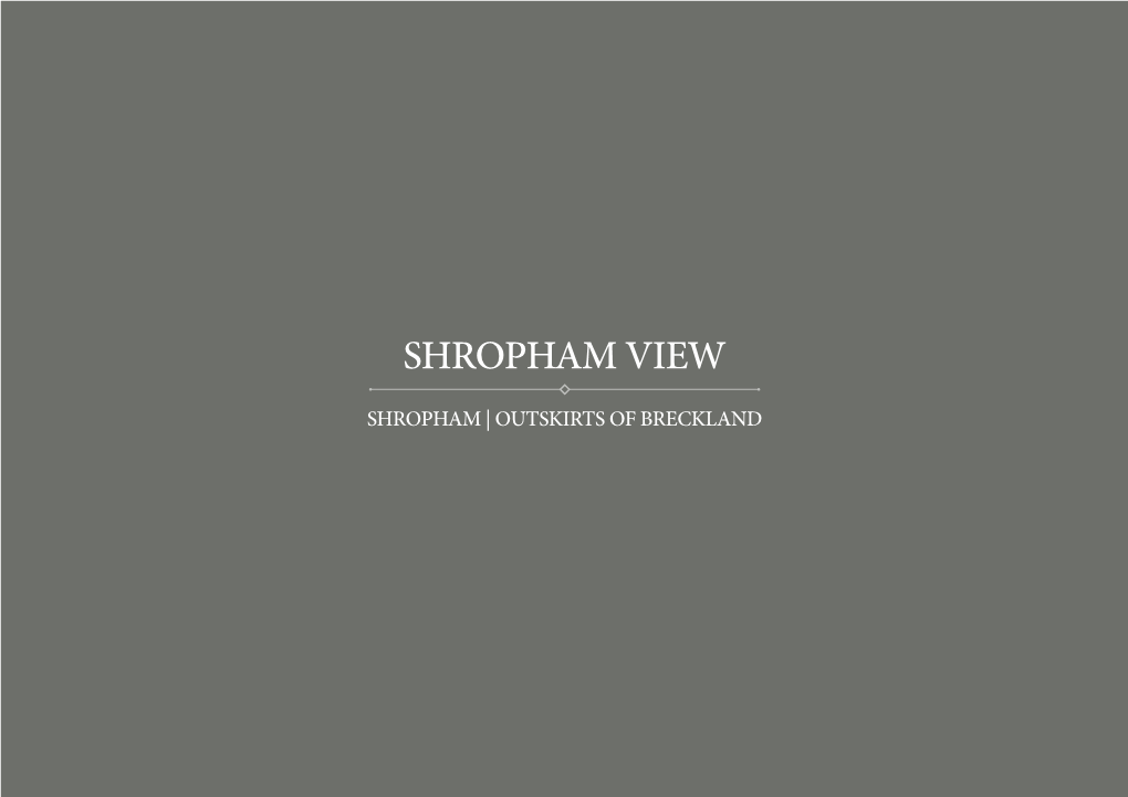 Shropham View