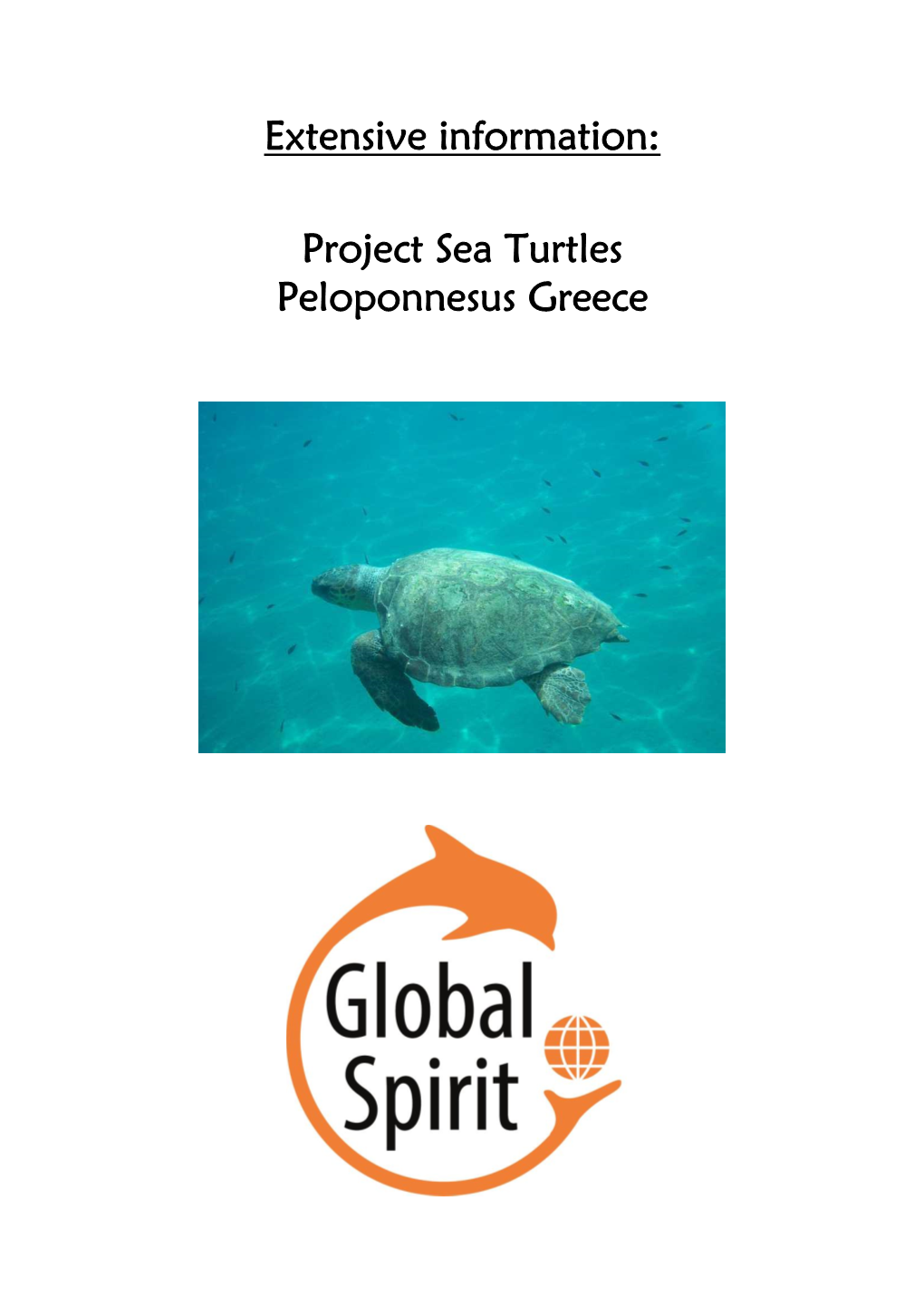 Extensive Information Project See Turtles in Greece-Peloponessus